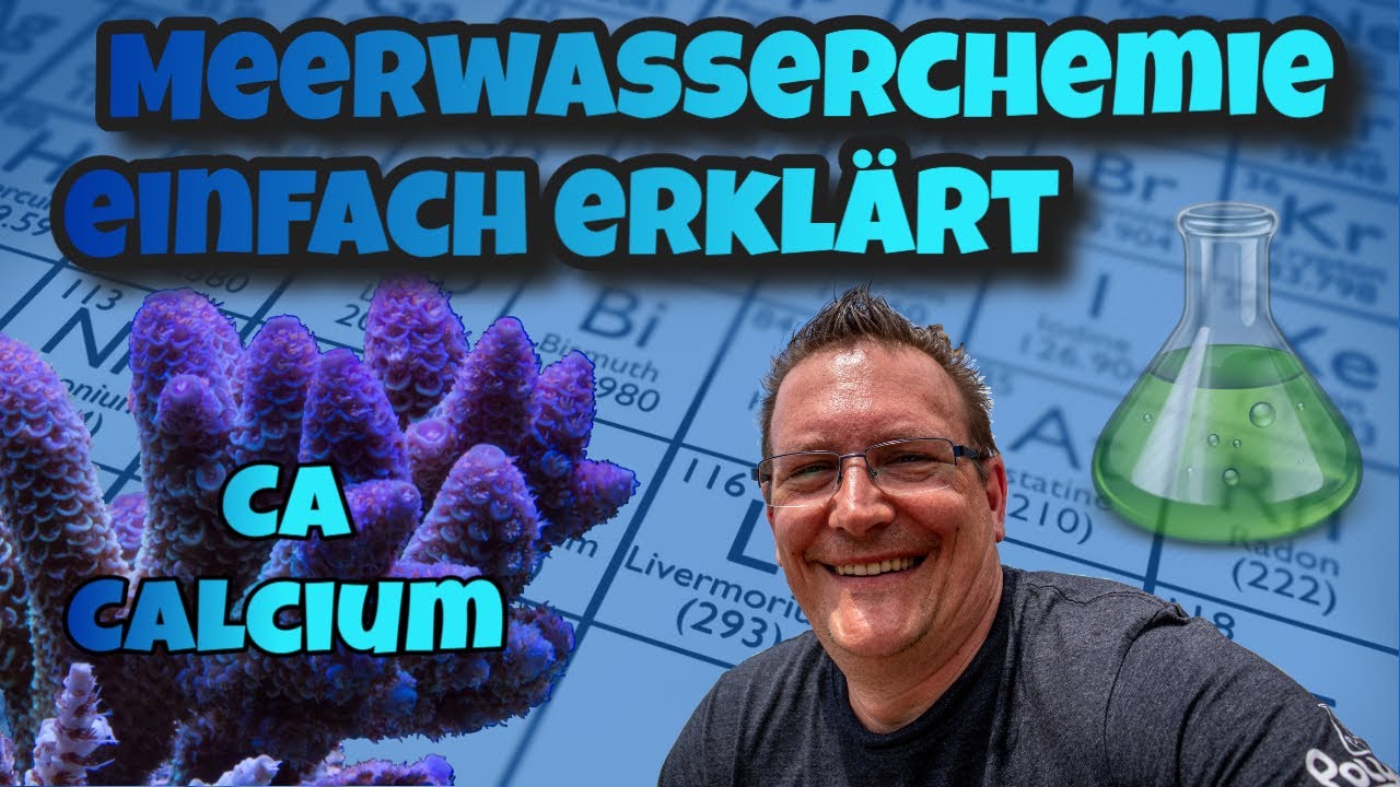🔔 Meerwasser Chemie einfach erklärt ⭐Ca - Calcium⭐