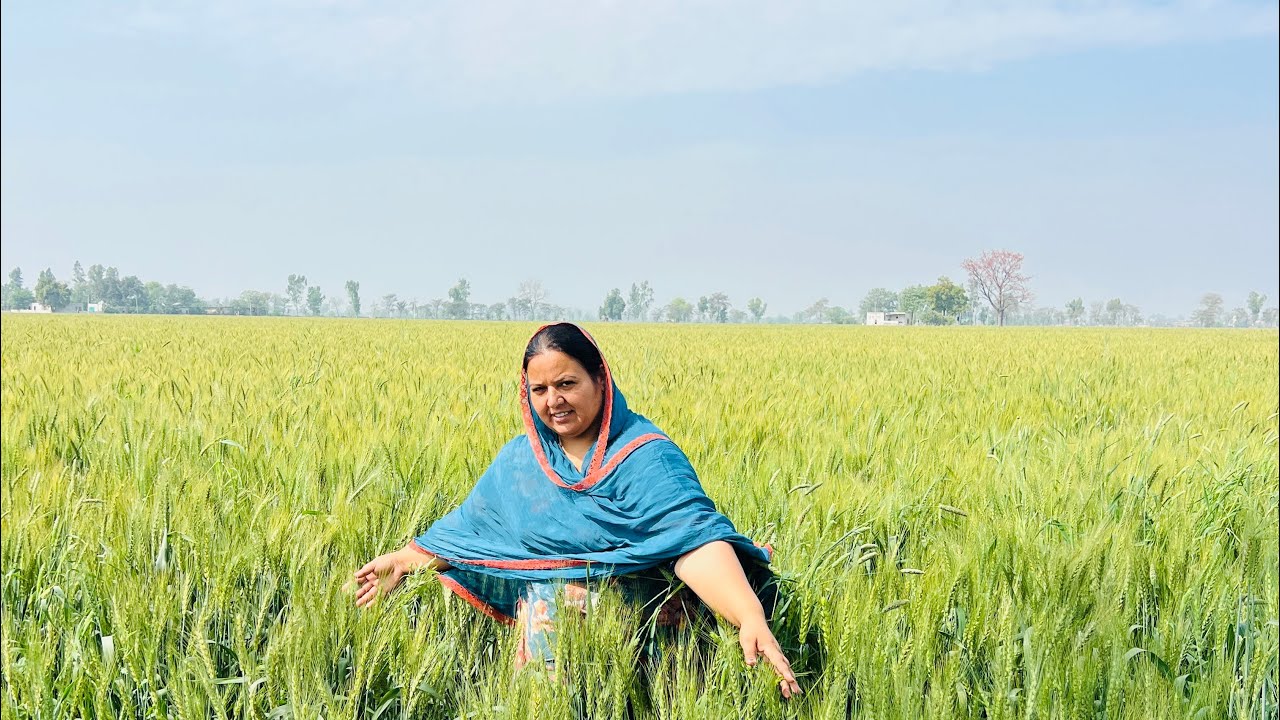 ਕੁਝ ਗੱਲਾਂ ਬਾਂਤਾਂ🥰❤️
