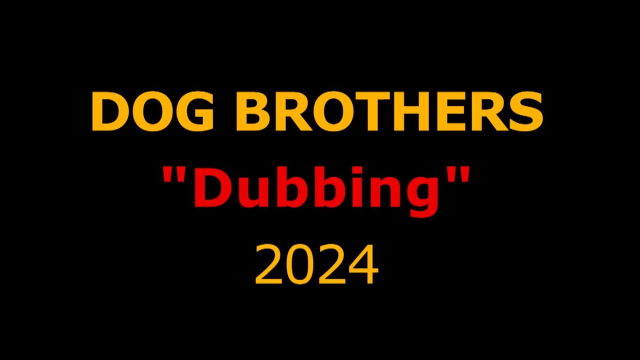 DB dubbing 2024