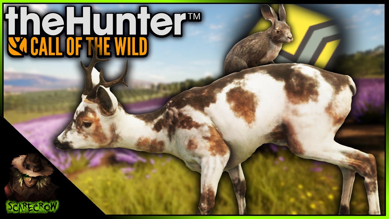 The Wonky Piebald Roe Deer & A Diamond European Hare Plus So Much More! Call of the wild