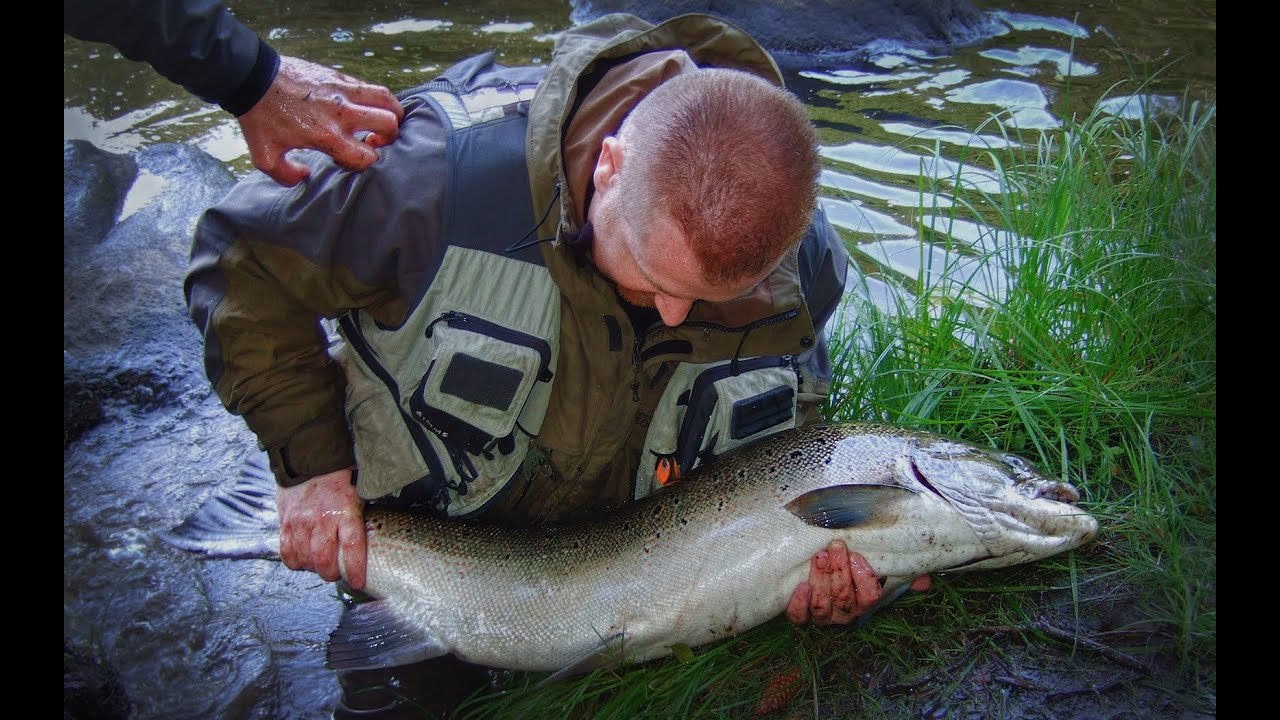 Silver Catch - 114cm Lachs an der Mörrum