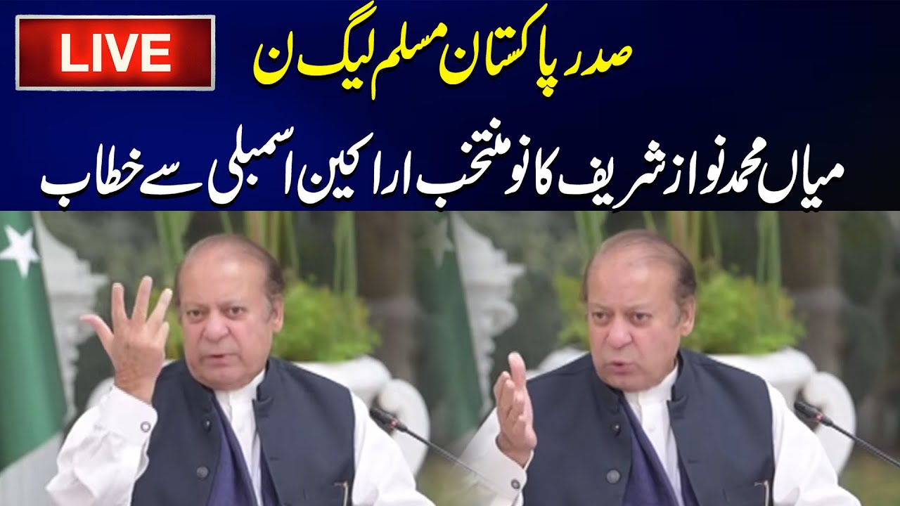 President PMLN Nawaz Sharif And CM Maryam Nawaz Talk to Newly Elected Members -  City 42