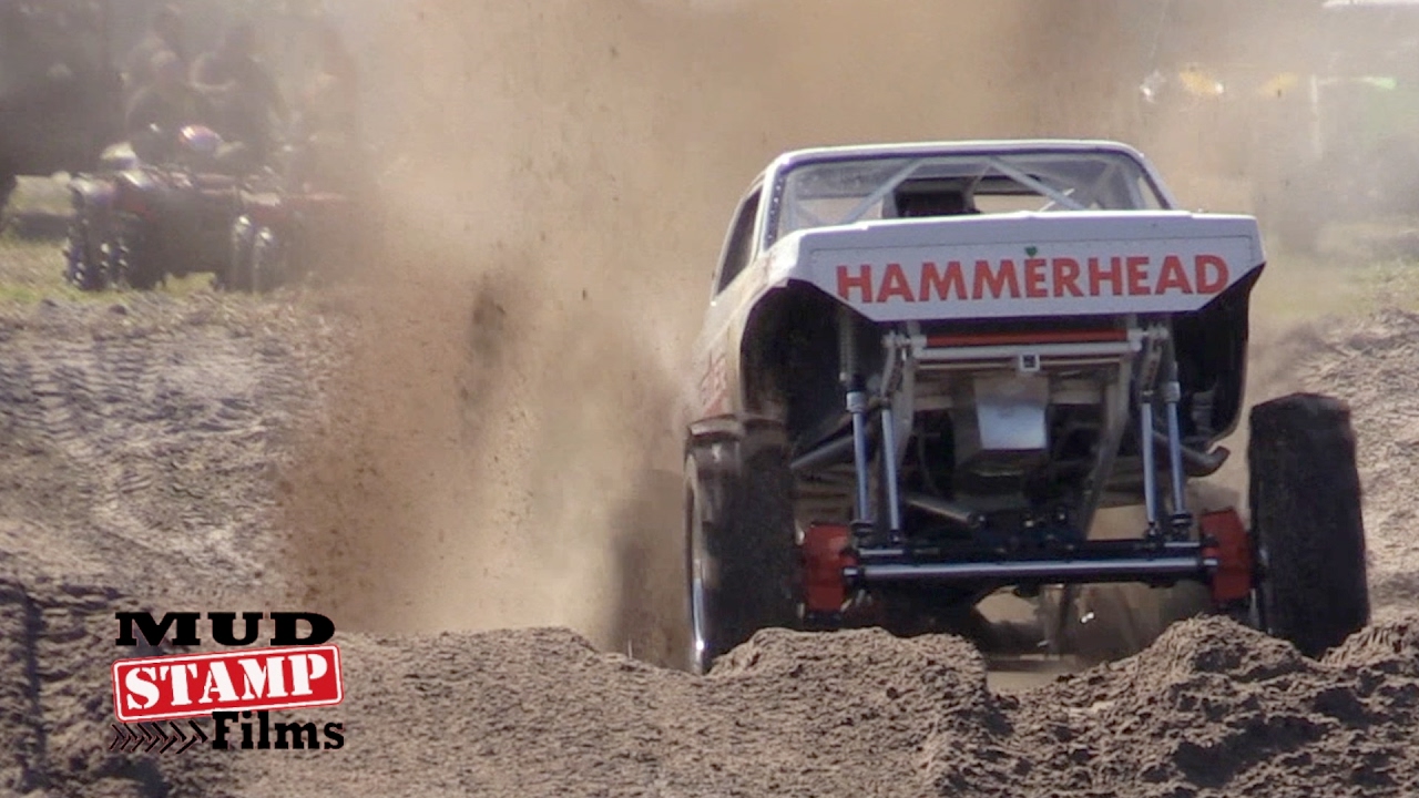 HAMMER HEAD!
