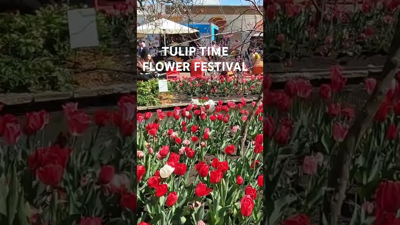 Tulip Time Flowers Festival, Bowral. 