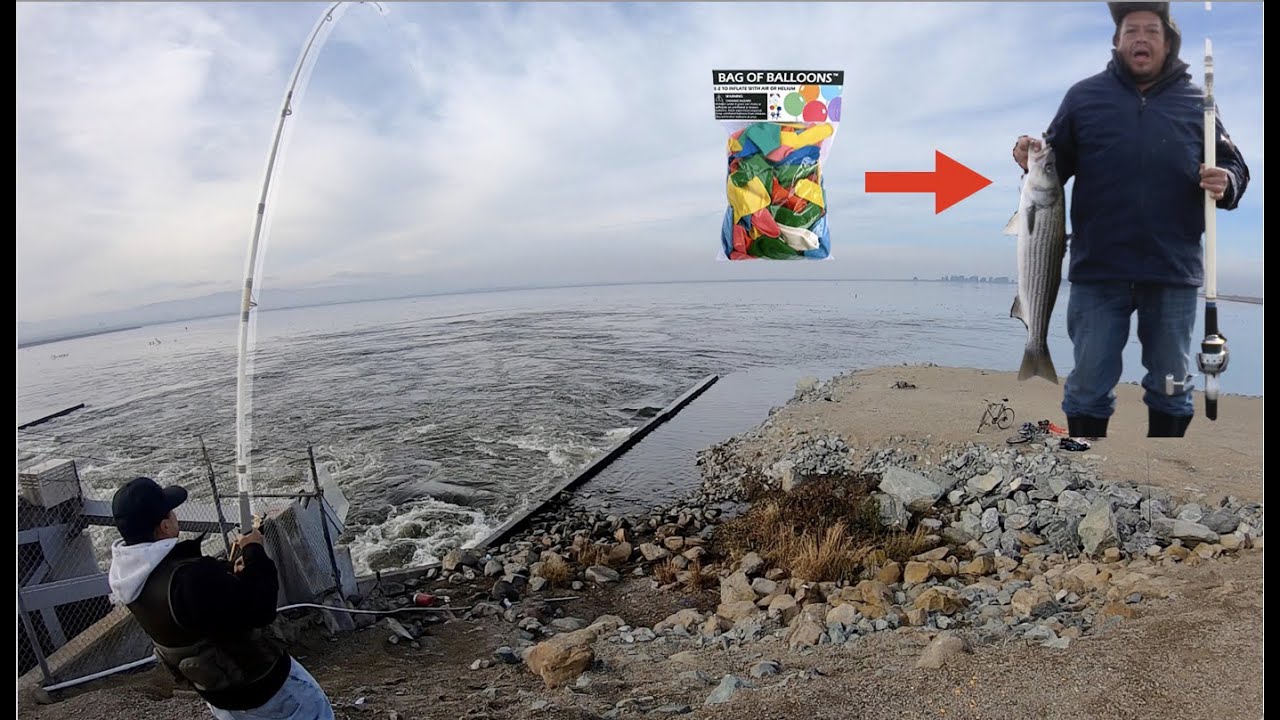 California Striper Fishing, Using Water Gates to take lure hundreds of yards out!