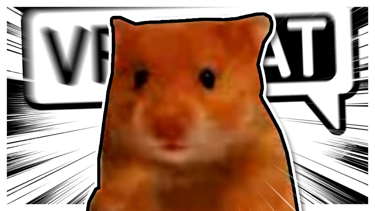 Гарри Хомяк входит в VRCHAT