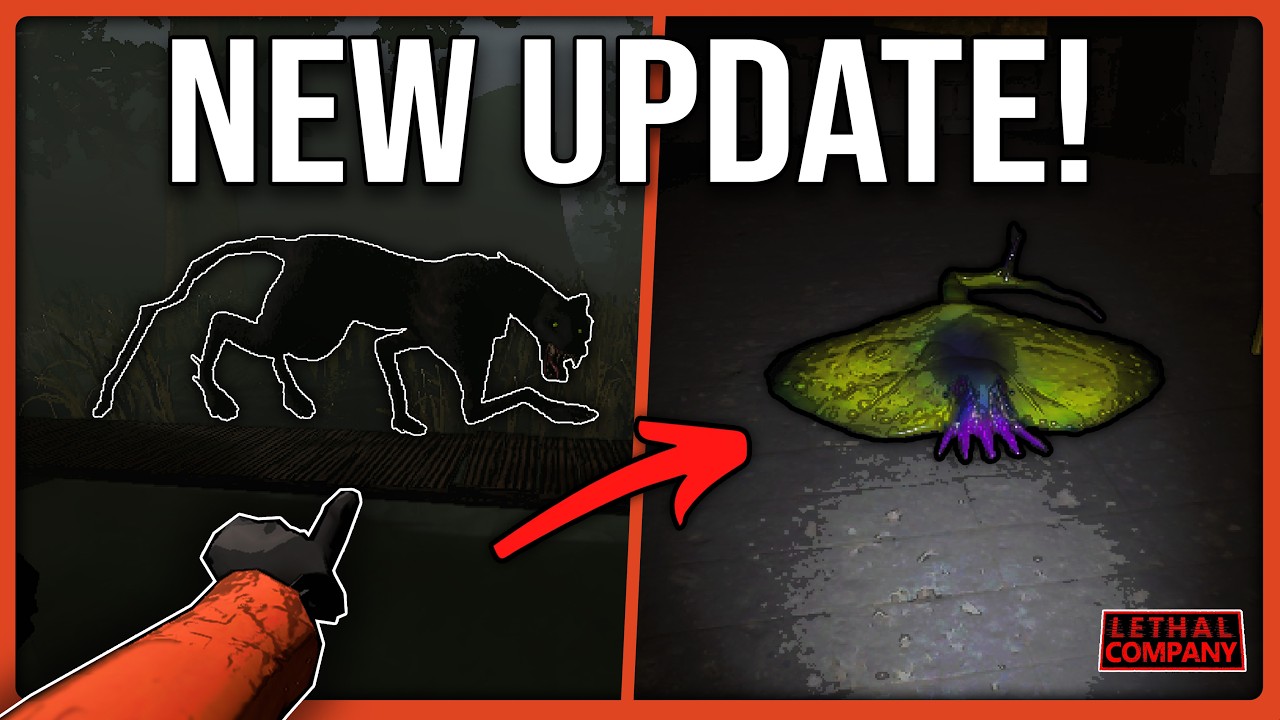 The Official v80 Update Guide!