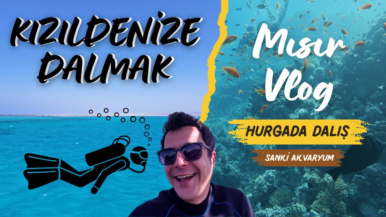MISIR HURGADA'DA DALIŞ YAPTIK ADETA BİR AKVARYUM / MISIR VLOG 2