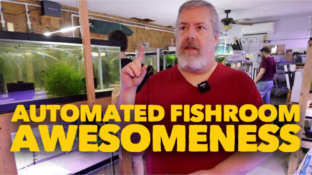 Mitchell Broome Fish Room Tour