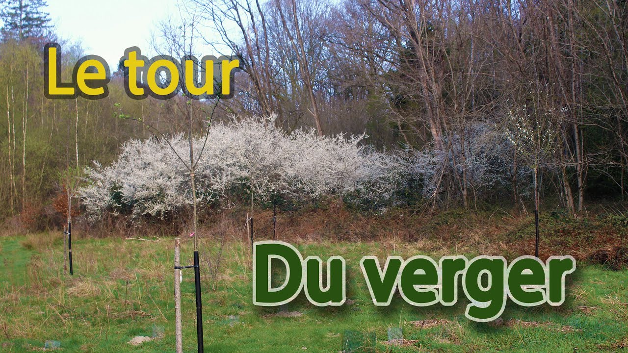 Tour des fruitiers au jardin, du verger et alentours