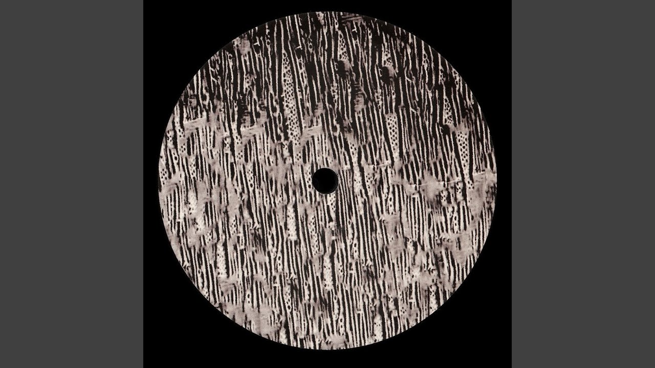 Hardened Chord (Regis Remix)