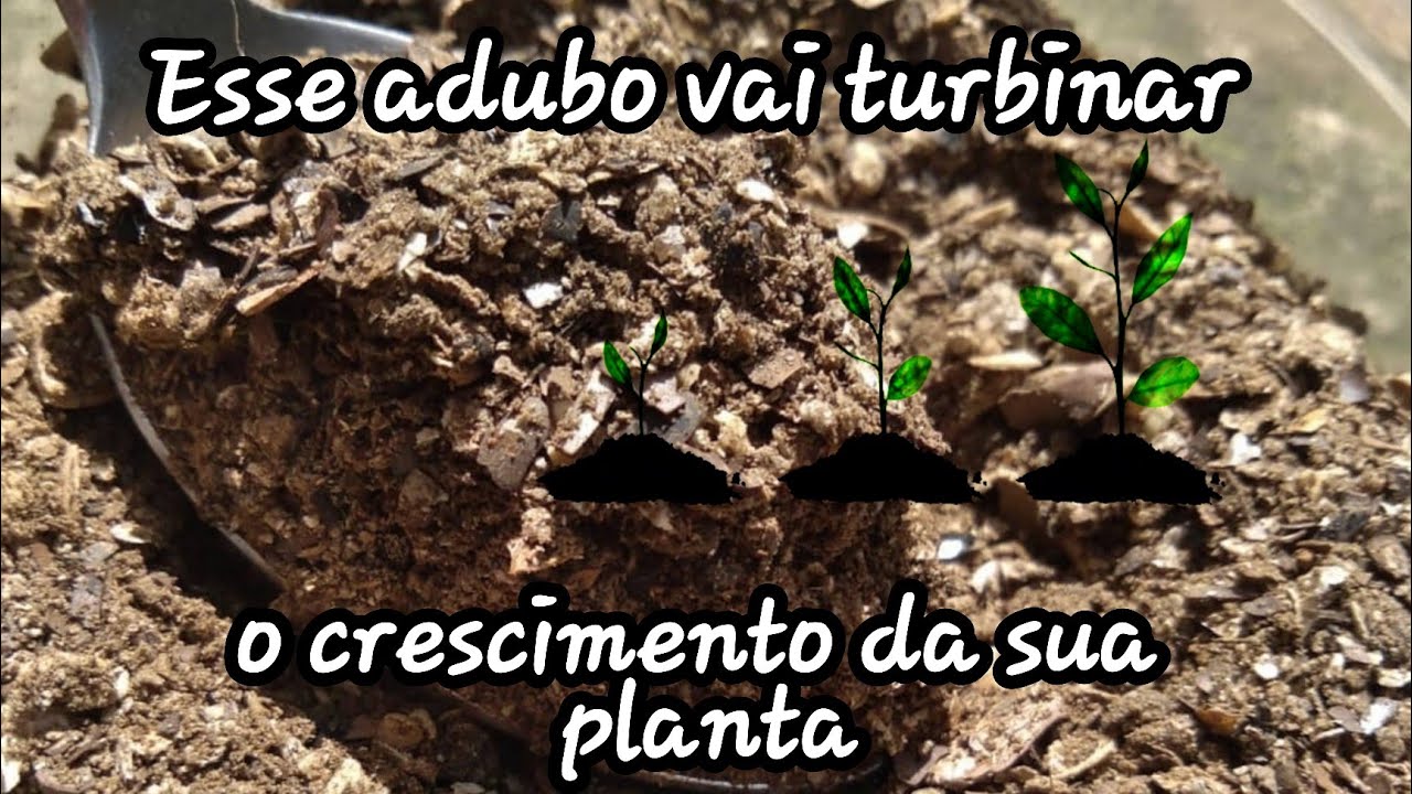 Esse adubo vai turbinar o crescimento das suas plantas 🌱🪴🌳