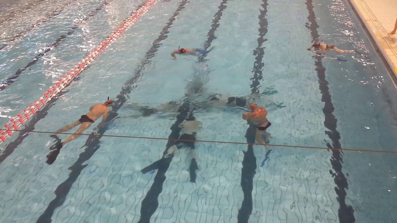 ster met 4 duikers (met fles)