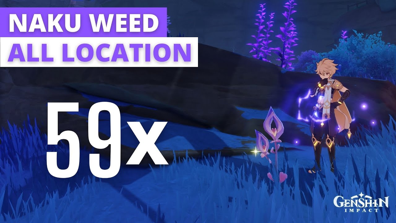 Genshin Impact 59x Naku Weed Location - Fast and Efficient - Detailed Map Included
