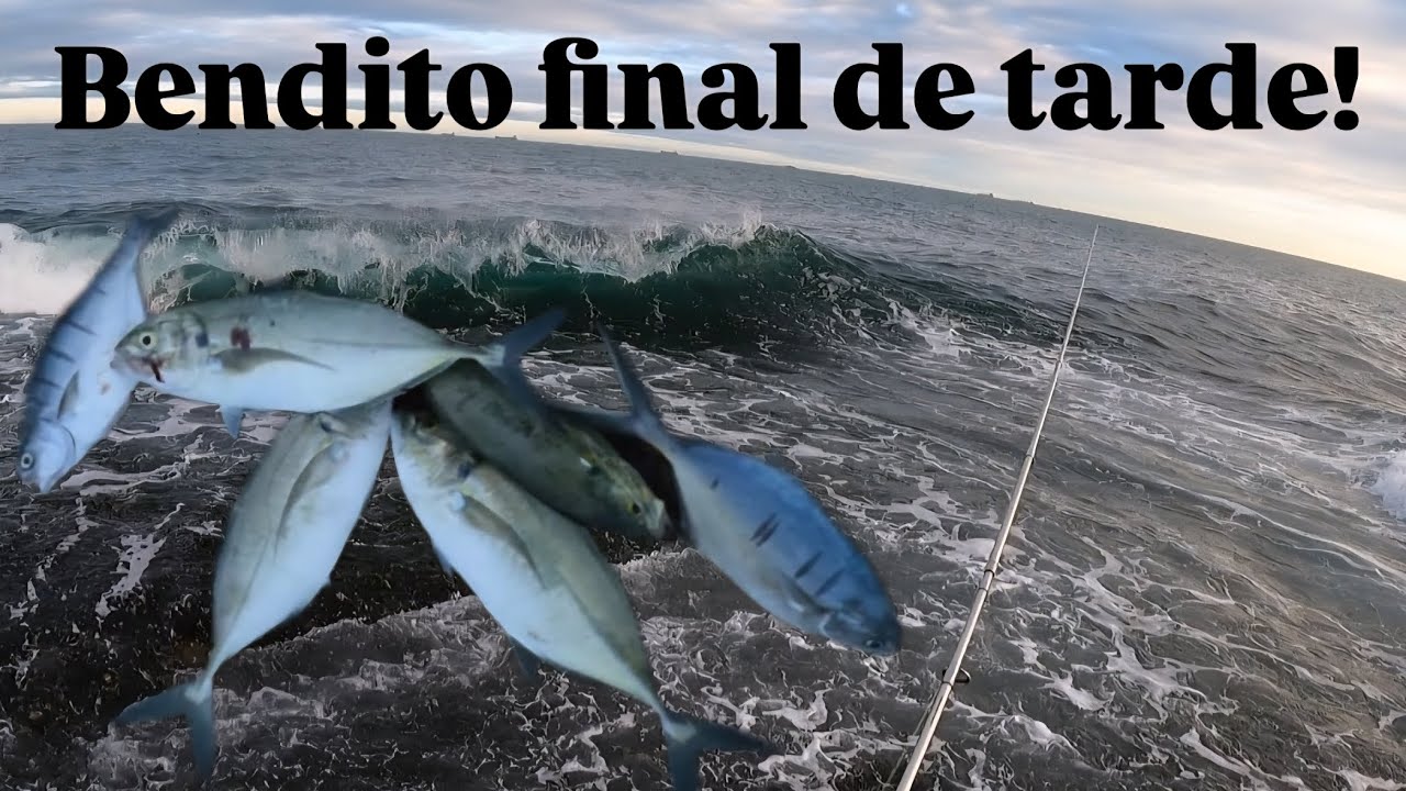 Final de tarde na ilha, é fatal!