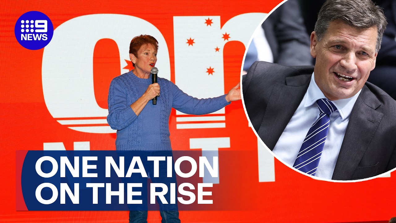 Pauline Hanson promises her party will take Labor seats | 9 News Australia