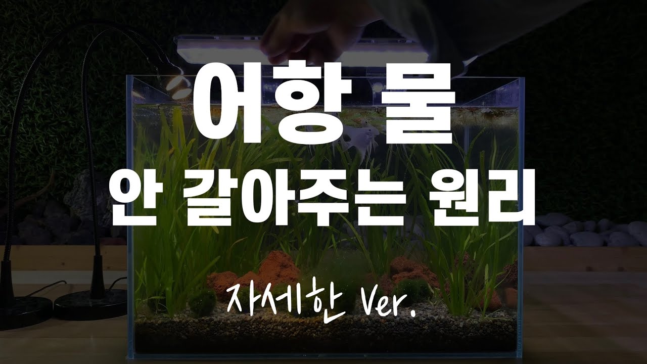 무환수 원리 자세히 알고싶으신 분들을 위한 영상