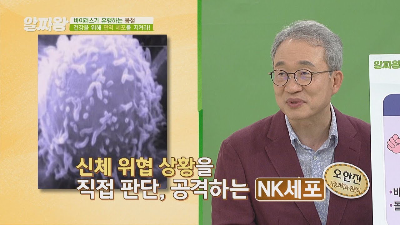 NK세포☞ 나쁜 세포 제거해 건강 지키는 '핵심 면역 세포' TV정보쇼 알짜왕(alzzaking) 167회