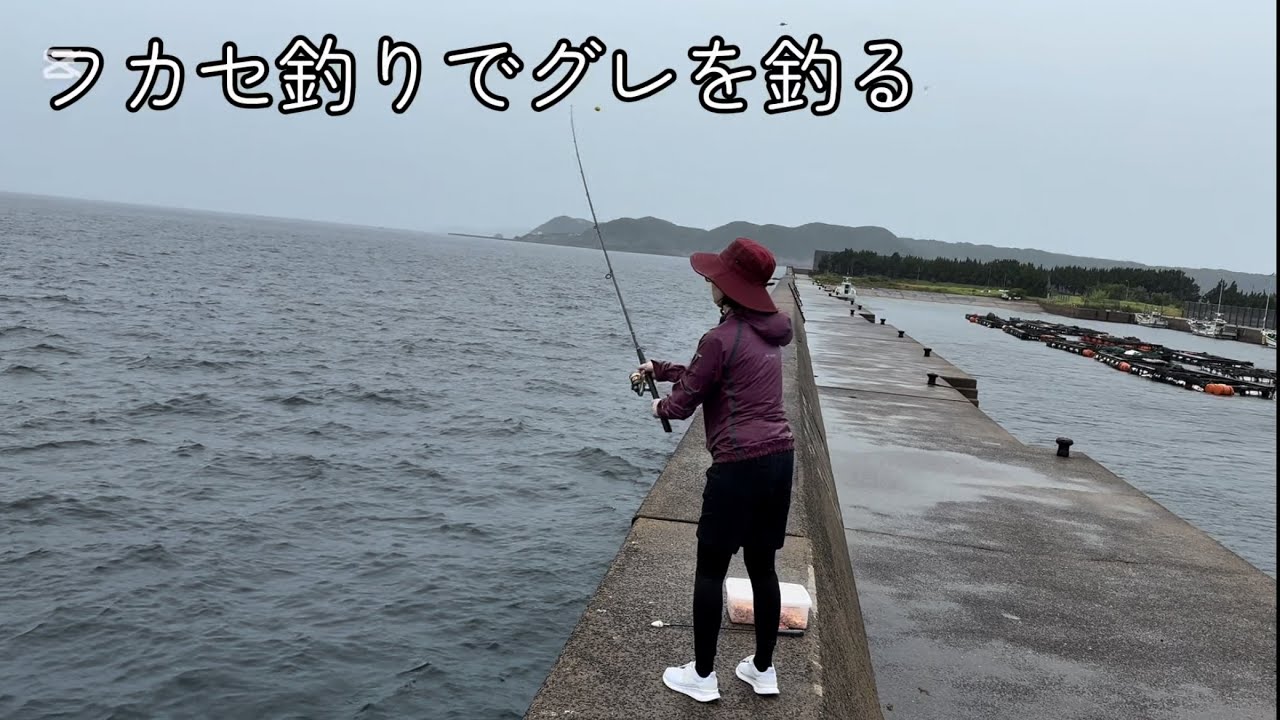 【フカセ釣りでグレを釣る】小川島でフカセ釣り　尾長グレが入れ食い　30センチオーバー　グレの船盛り　保護猫との別れ