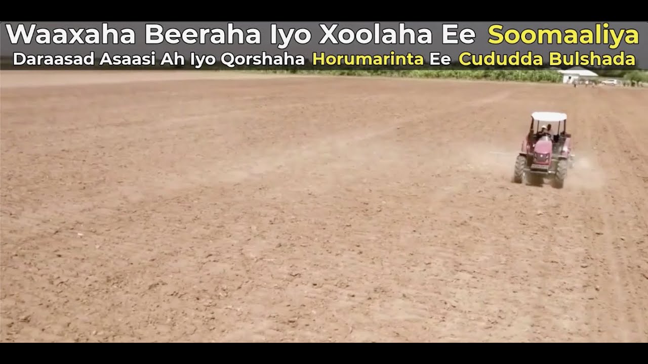 Daraasad ku saabsan Beeraha iyo Xoolaha Soomaaliya