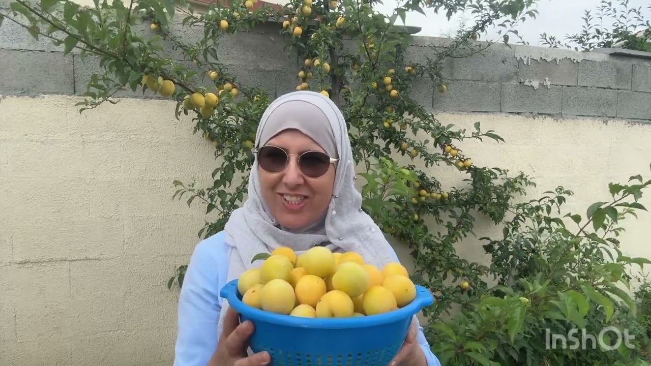 Nhara nwajouwagh 9 août 2024