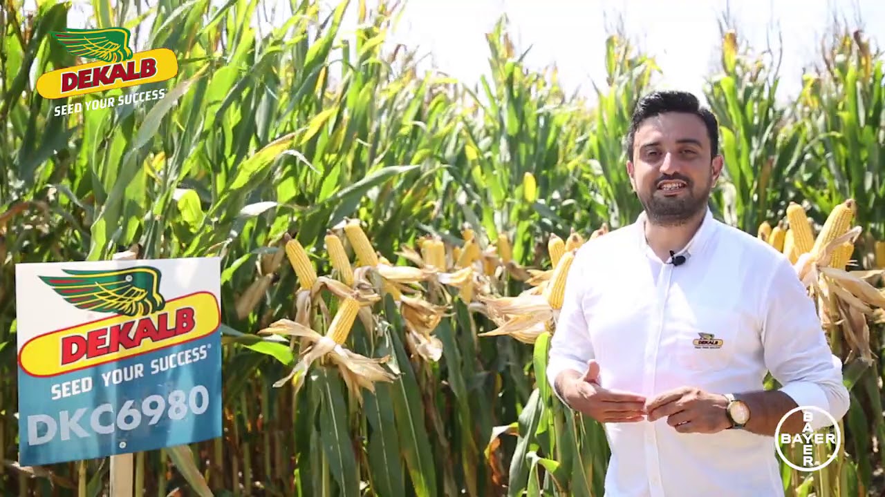 DEKALB Teknoloji Merkezi - Dijital Tarla G&uuml;n&uuml; // Adana - Seyhan