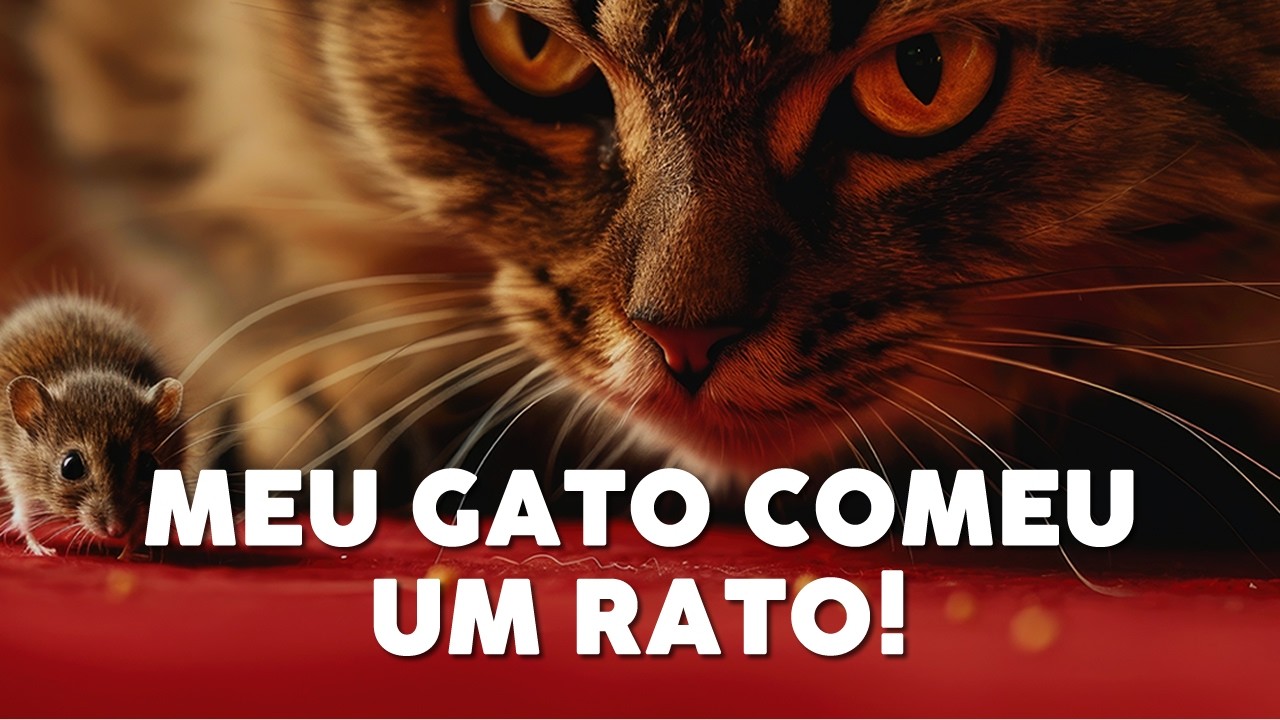 Meu Gato Comeu um Rato! Veja os Perigos e o que Fazer!