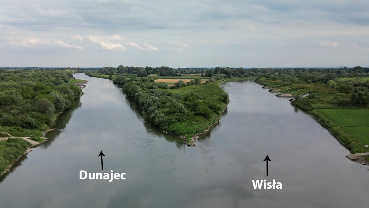 W górę Wisły czy Dunajca? - Ujście Jezuickie (Opatowiec)