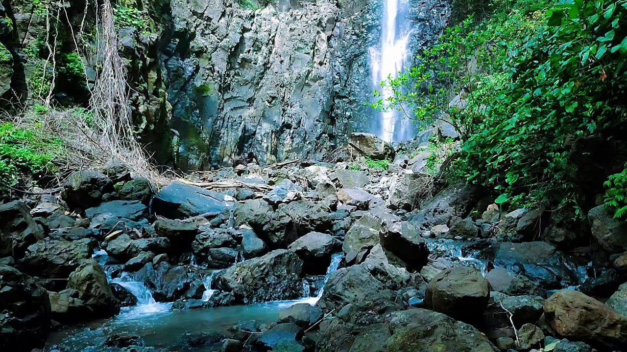 Relaxing River Sounds Peaceful Forest River 11 Hours Long HD 1080p Nature Video