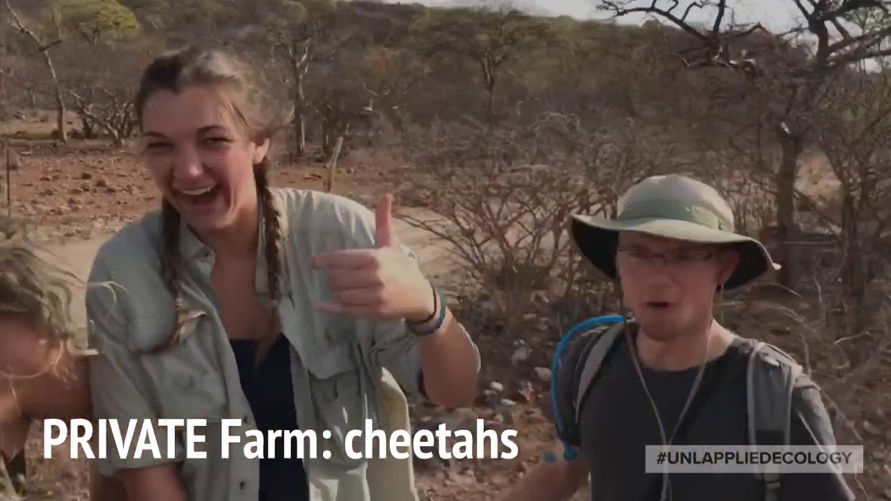 Conservation of Wildlife in Namibia 2019