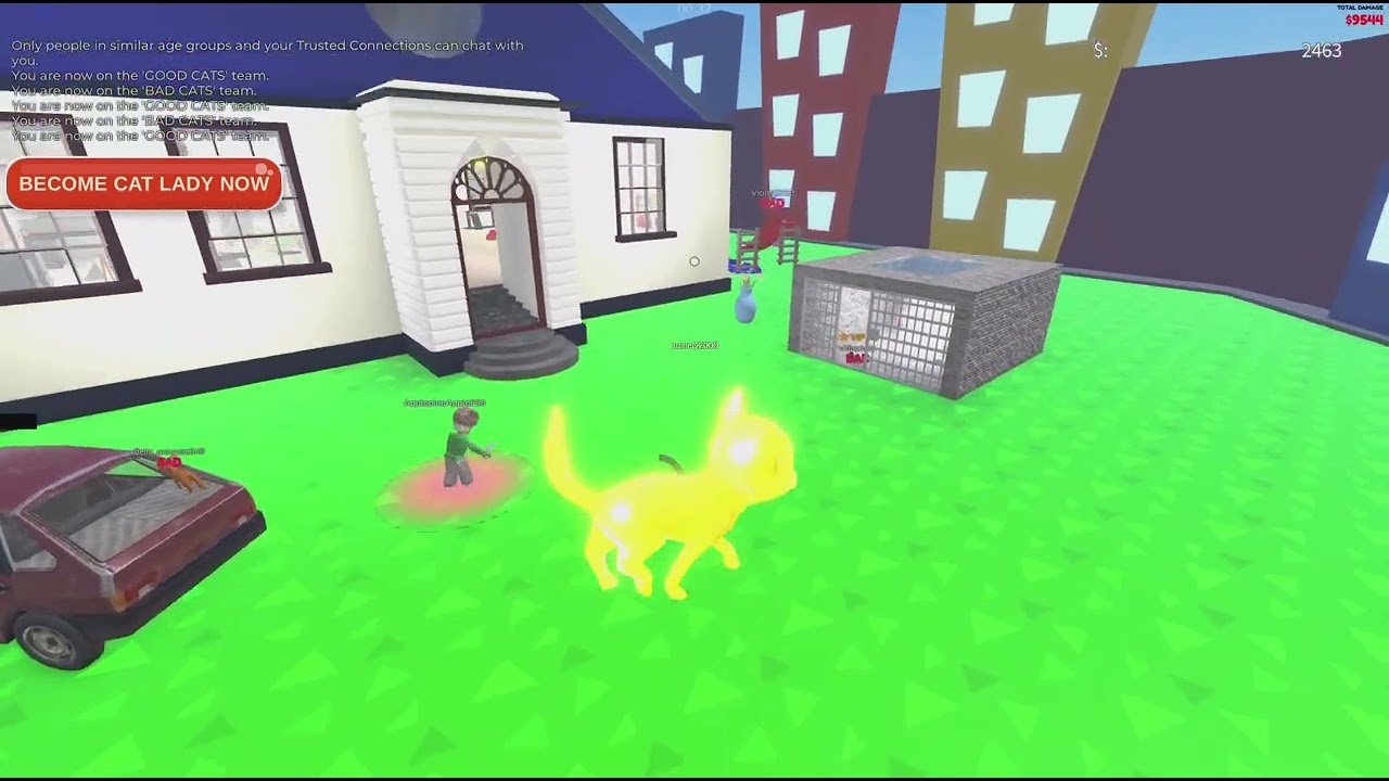 Roblox_✨
