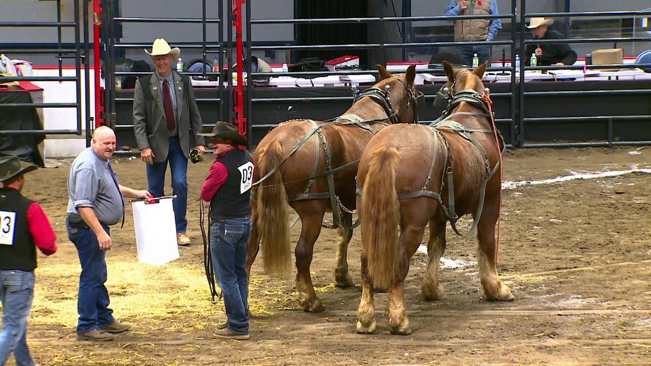 Chore Team Competition, presented by Young’s Equipment