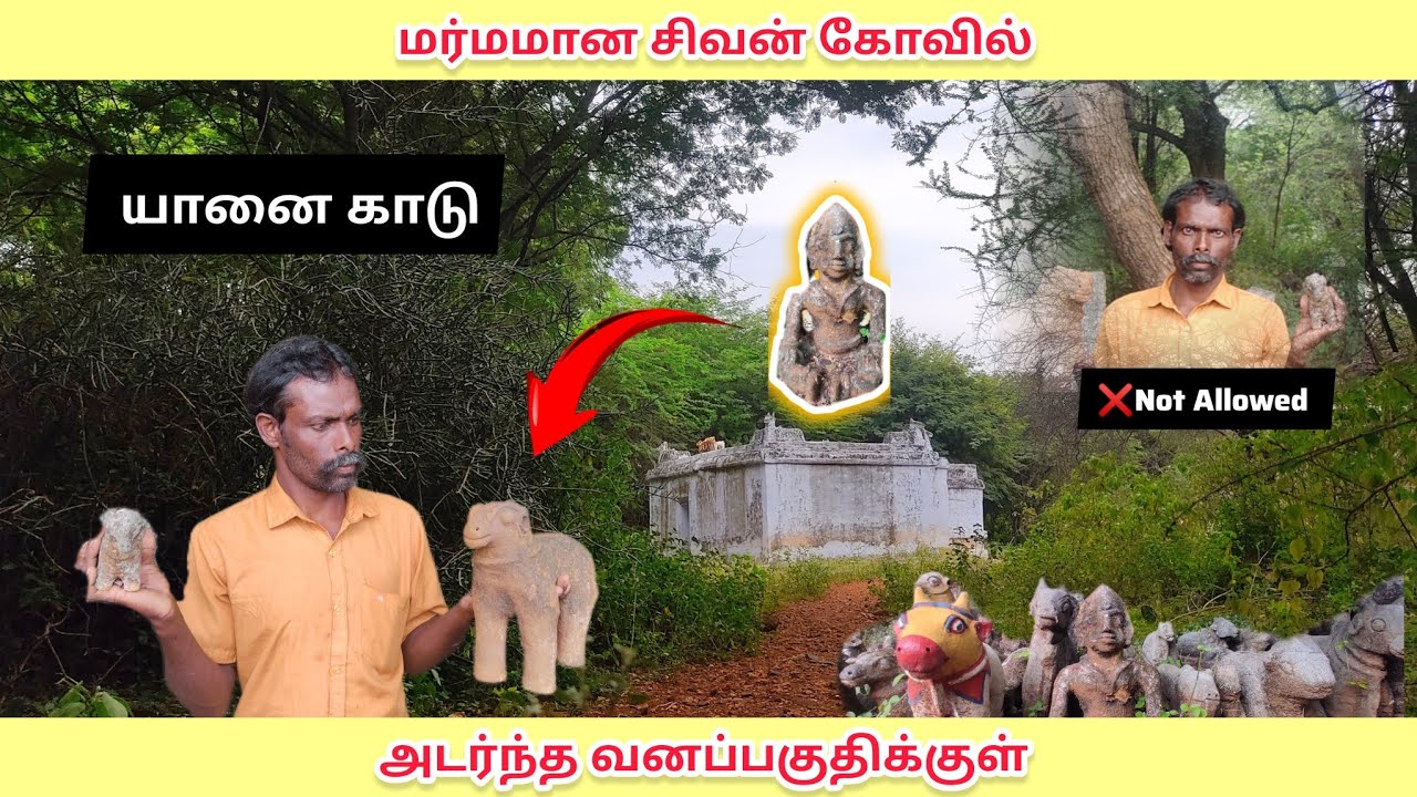 🔥சத்தியமங்கலம் வனப்பகுதிக்குள்🐘  அமைந்திருக்கும் மர்மமான😱 சிவன் கோவில் @stranger_mahi