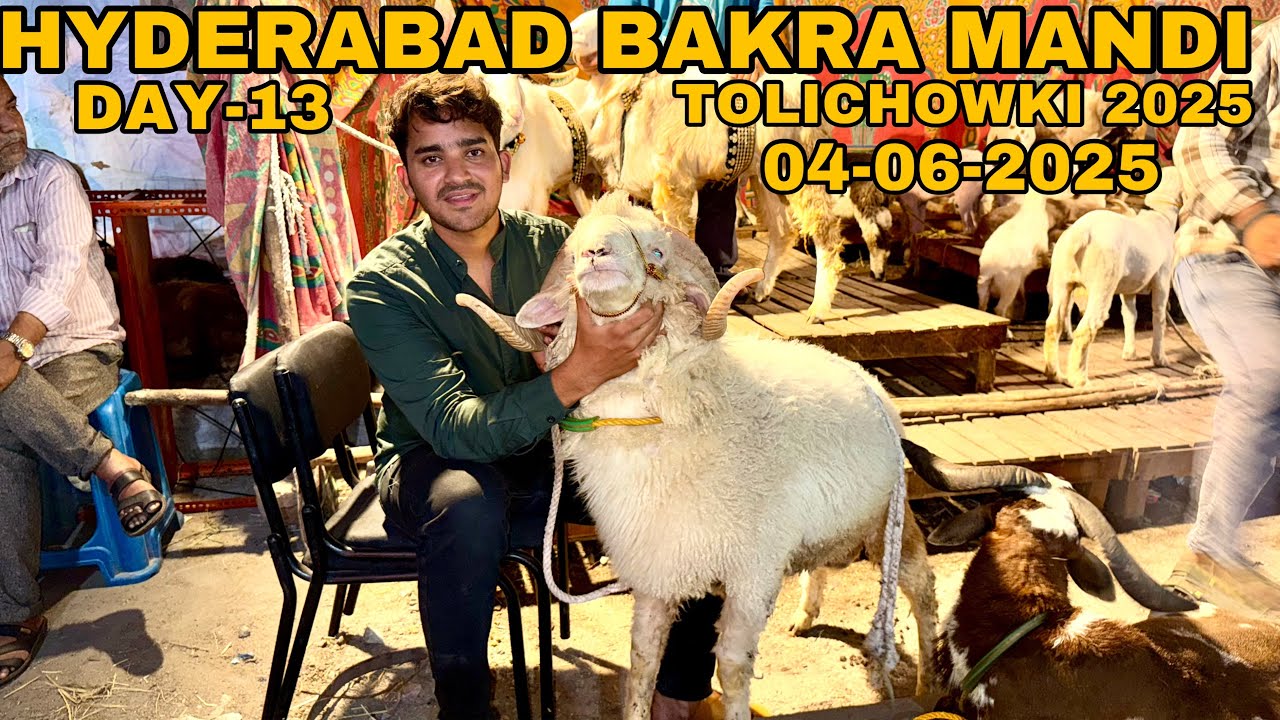 HYDERABAD BAKRA MANDI | TOWLICHOWKI 04-06-2025| DAY-13 |TOWLICHOWKI BAKRA MANDI | goat market