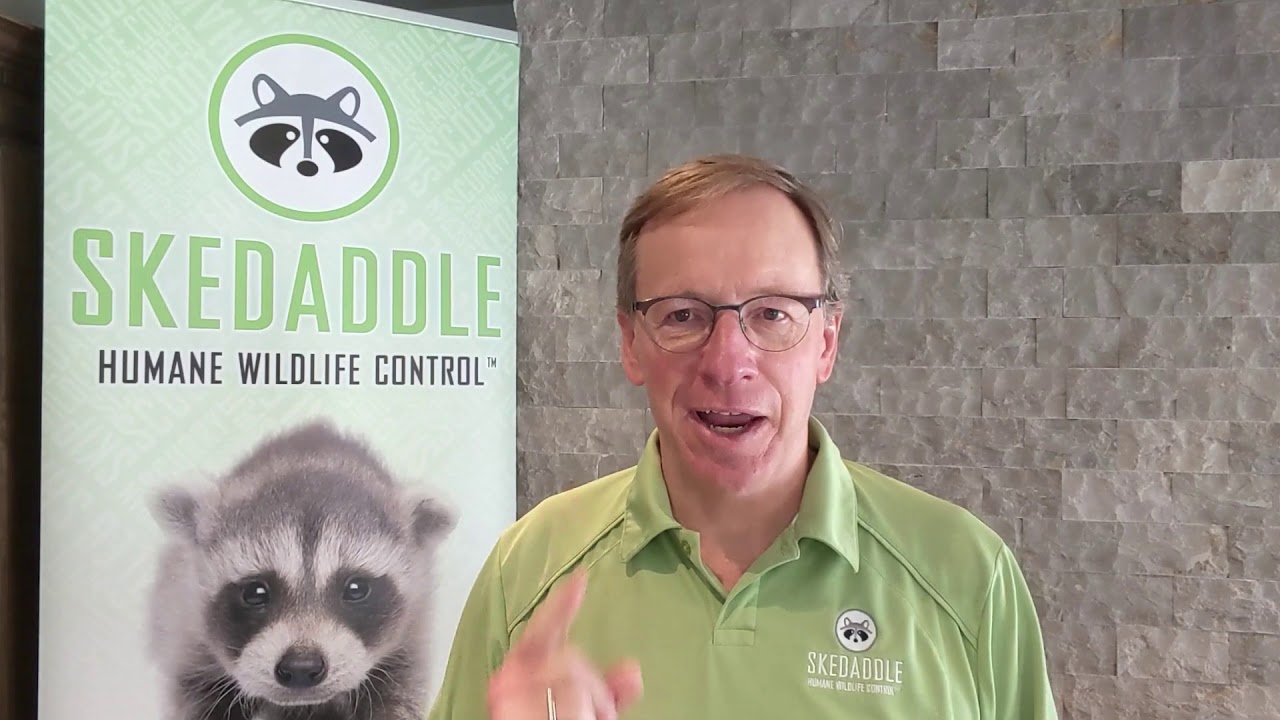 How Do I Attract Customers? - Skedaddle Franchise