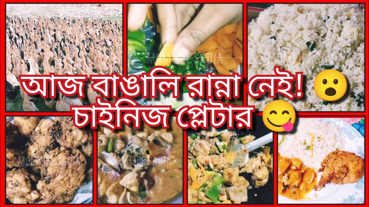 আজ বাঙালি রান্না নয় 😮 পার্কে ঘোরাঘুরি, চাইনিজ প্লেটার আর হাঁসের ফার্ম