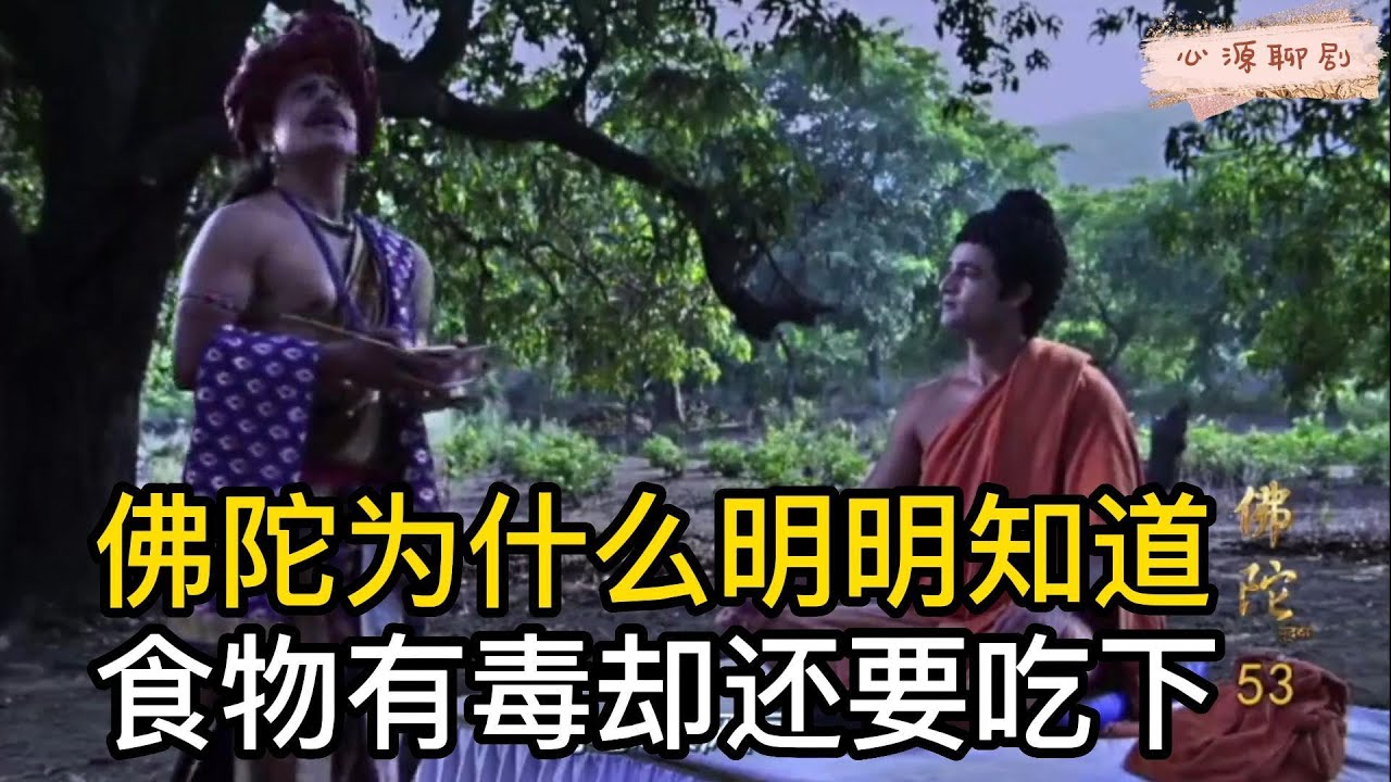 太难得了！佛陀涅槃前给在家居士开示：如何经营婚姻家庭与工作 #佛教 #禪修 #佛法 #修行 #内觀 #心靈成長 #靜心  #冥想 #佛陀 #南傳#藏传