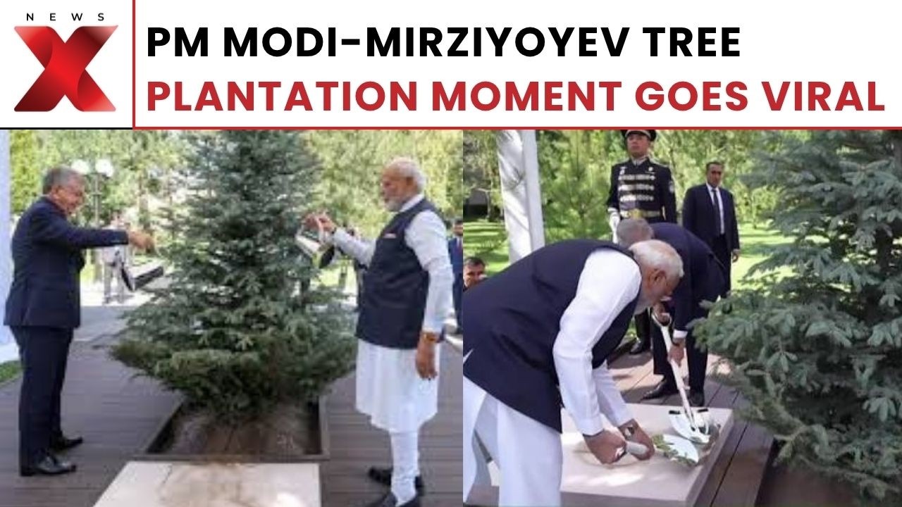 India-Uzbekistan MOMENT: Modi, Mirziyoyev Take Part In Tree Plantation Ceremony | NewsX