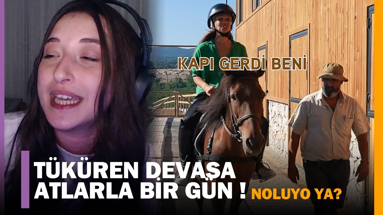 Pqueen - 