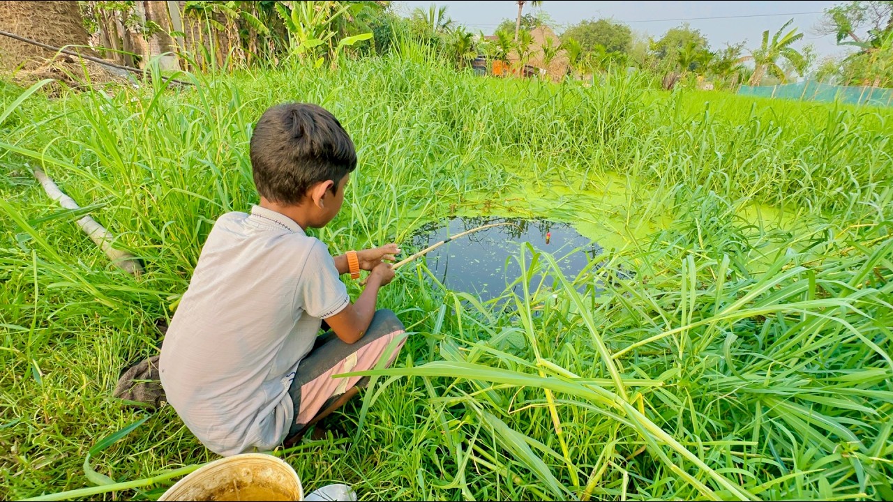 best fishing video || Little Boy hunting fish by fish hook From village beautiful nature🥰🥰(Part-389)