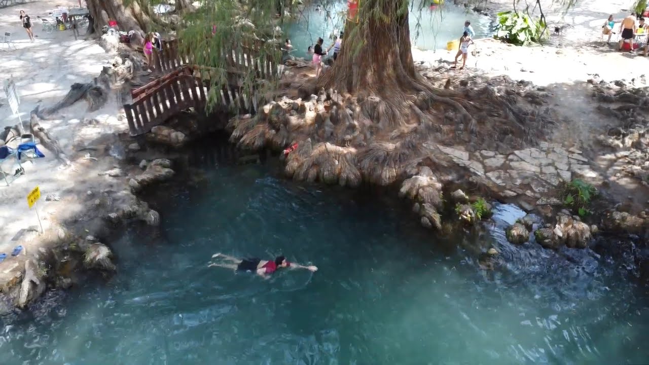Los ahuehuetes en Tepeojuma  Puebla te animas a conocerlo? 🌳🏕️⛺️⛳️