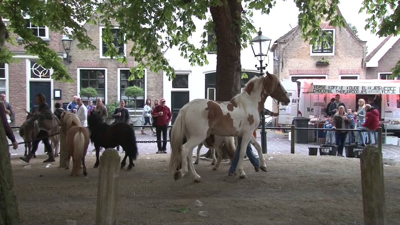 Paardenmarkt Heenvliet 2015