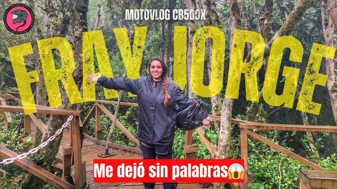 👉Descubre el BOSQUE VALDIVIANO en la IV región es un MILAGRO✨ Parque Nacional FRAY JORGE🌳🍃