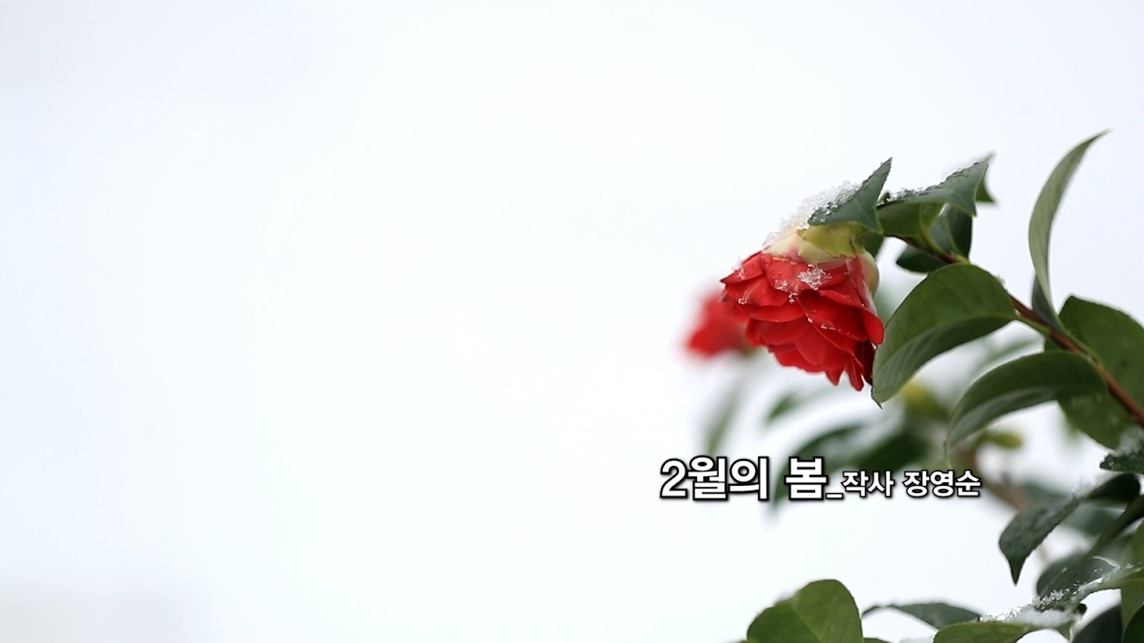 특집_발라드_2월의 봄_작사 장영순_가수 윤슬_작 편곡 수노_프로듀서 윤기영_제작유통 장영순