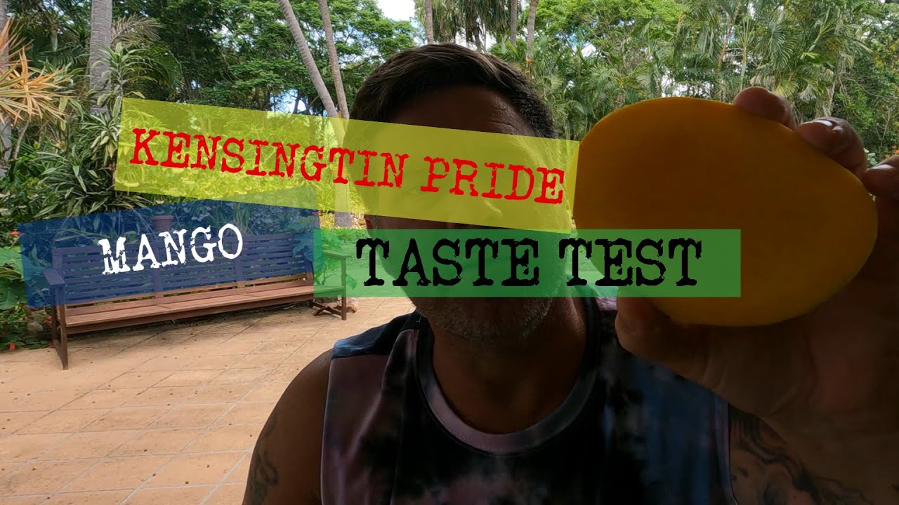KENSINGTON PRIDE MANGO TASTE TEST