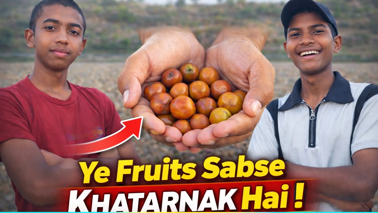 Ye fruits sabse khatarnak hai ! Fruits name ber ll santhali +hindi language ll smkora_b2x ll