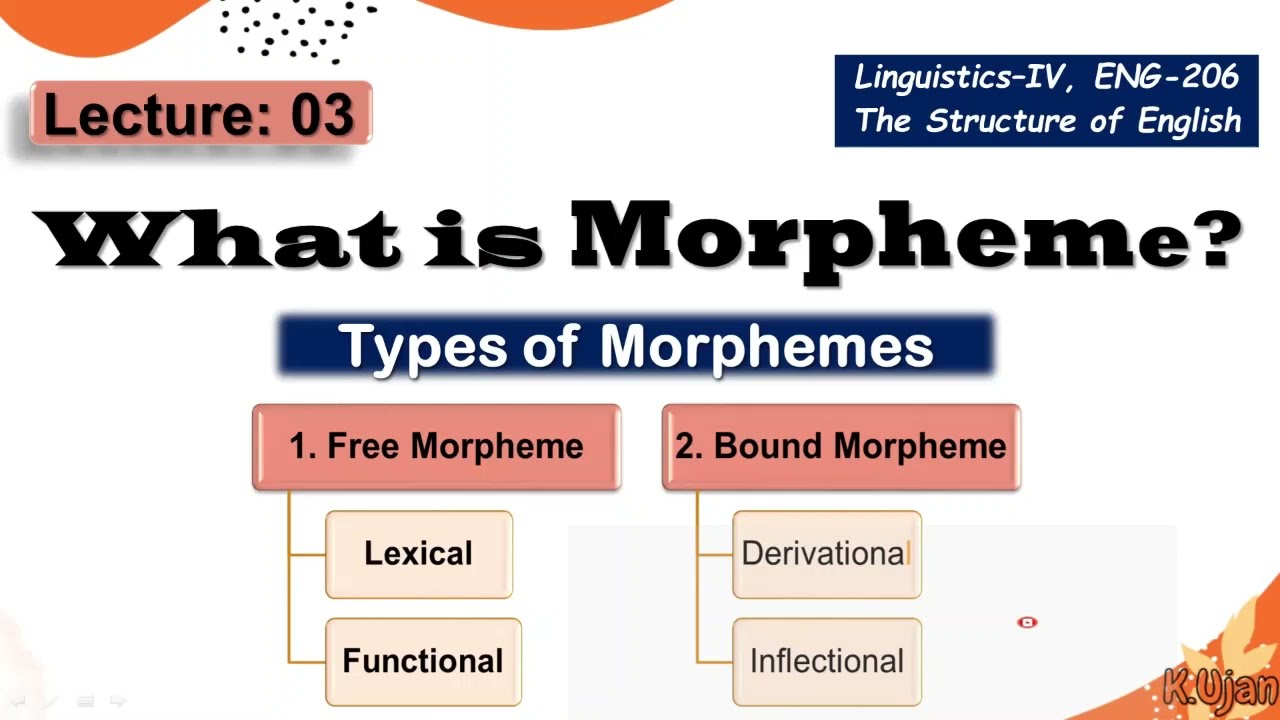Морфема | Типы морфем | Свободные и связанные морфемы
