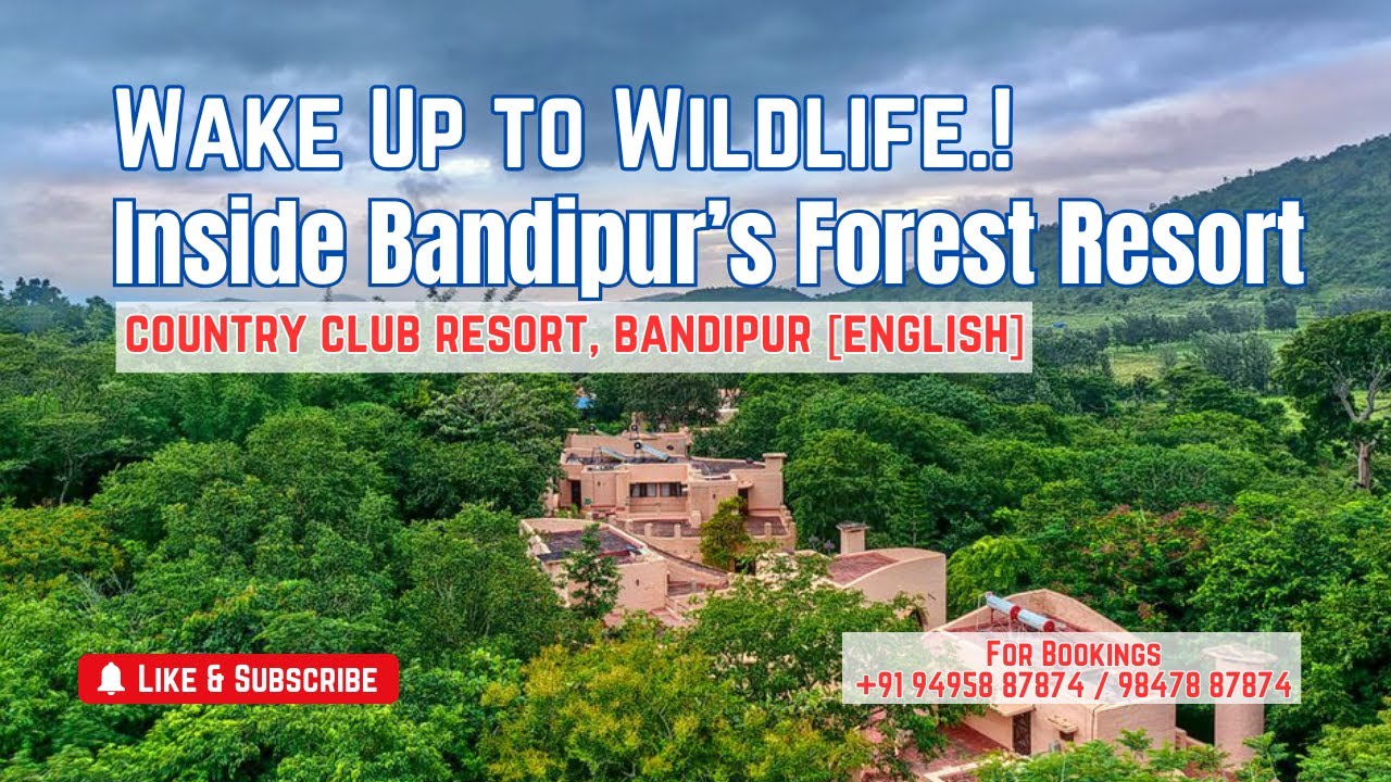 Country Club Resort Bandipur 🐾 | Luxury Stay Inside the Forest | Real Jungle Stay