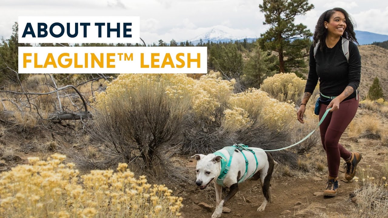 About the Flagline™ Leash