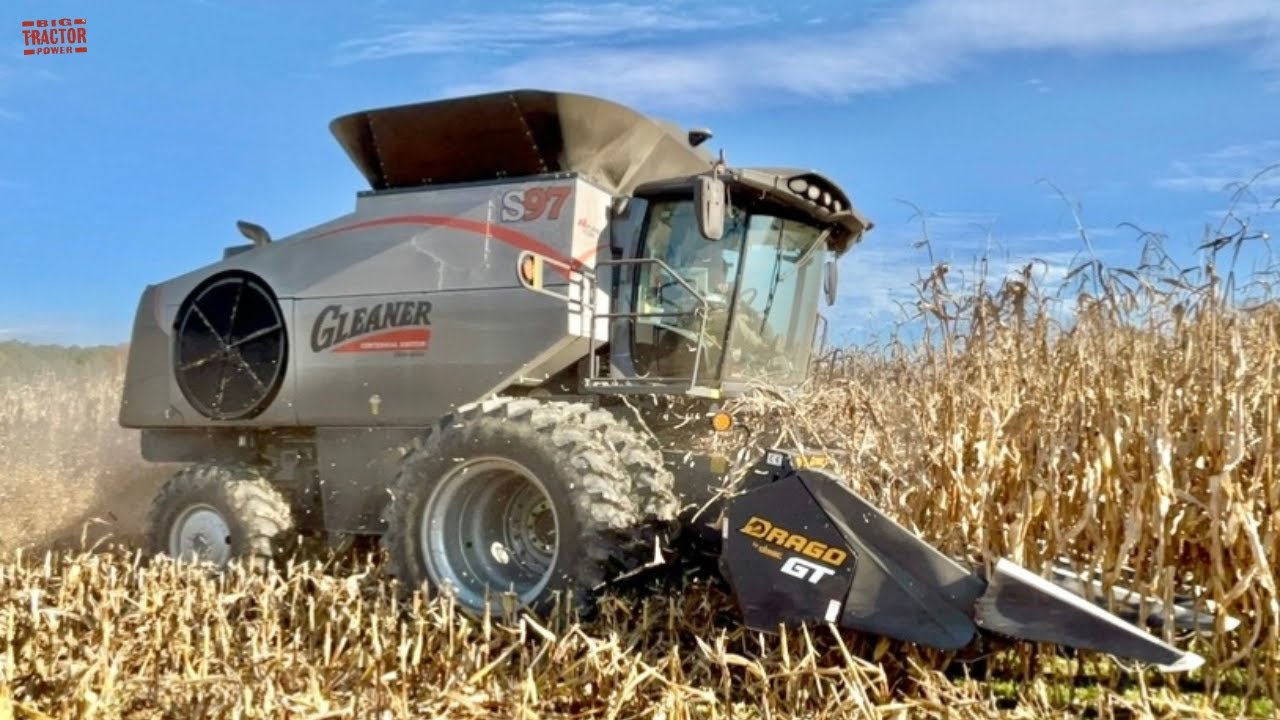 GLEANER S97 Combine Harvesting Corn